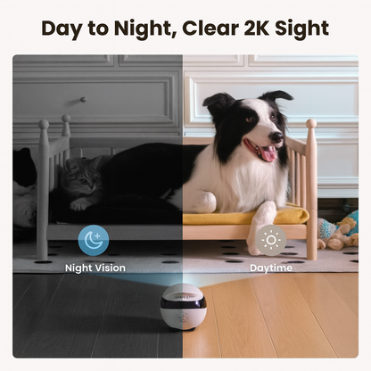 Talk Patrol ™  Expert